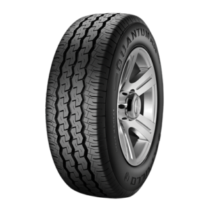 Apollo Quantum & Quantum plus